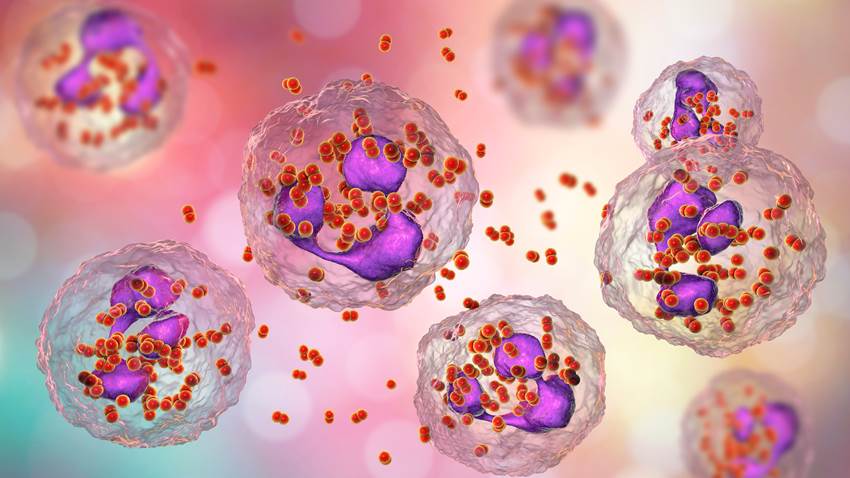 OMS advierte del peligro de la súper gonorrea y la pérdida de eficacia de los antibióticos