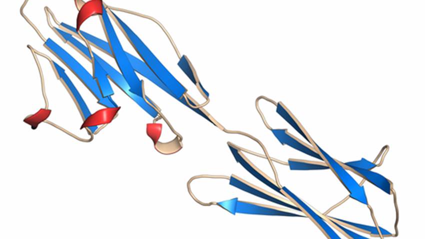 Nuevo enfoque científico contra el síndrome de Sjögren