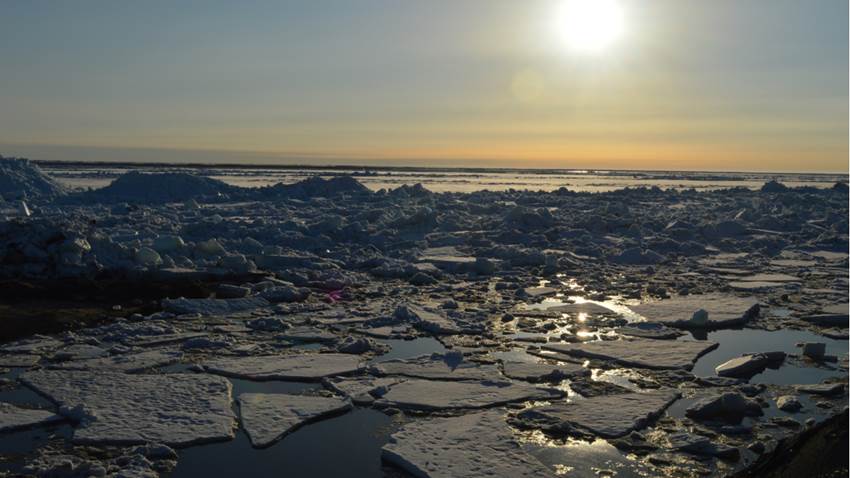 Tsunamis de hielo: el increíble fenómeno natural que seguramente no habías visto