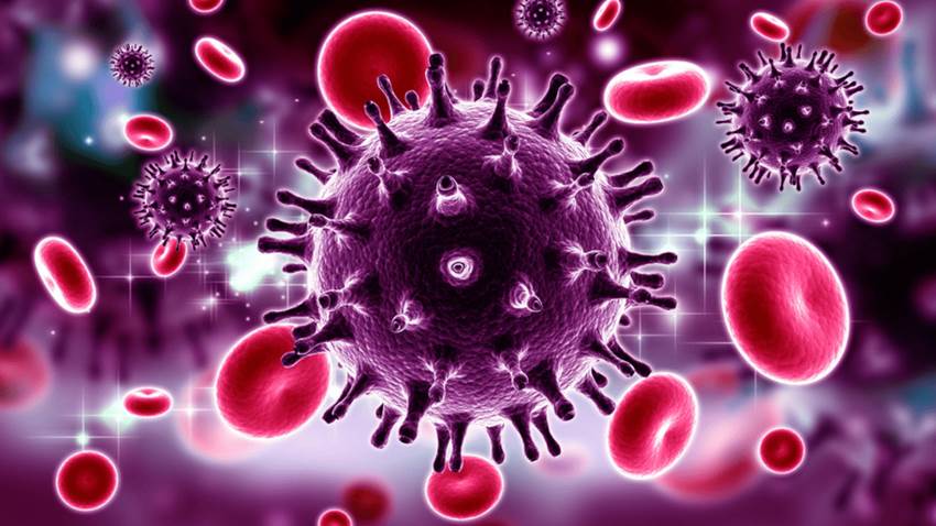 El tratamiento antirretroviral en simultáneo con la inmunoterapia mejoran el control del VIH