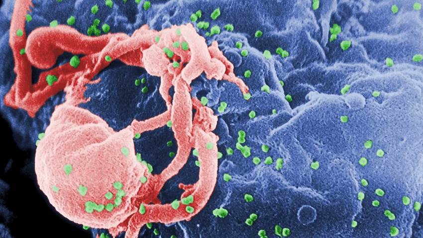 Investigación destaca vínculo entre la familia y el riesgo de VIH en hombres hispanos