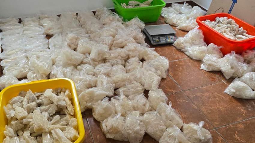 Tendencias
