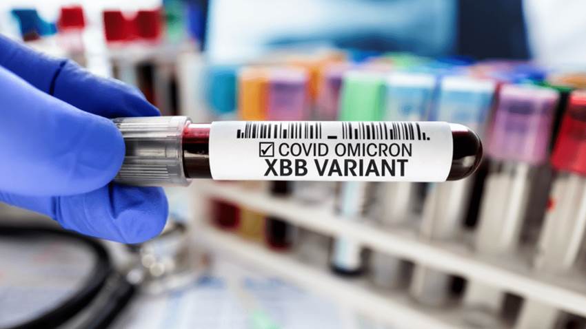 XBB.1.5, la subvariante de coronavirus que tiene en alerta a Estados Unidos