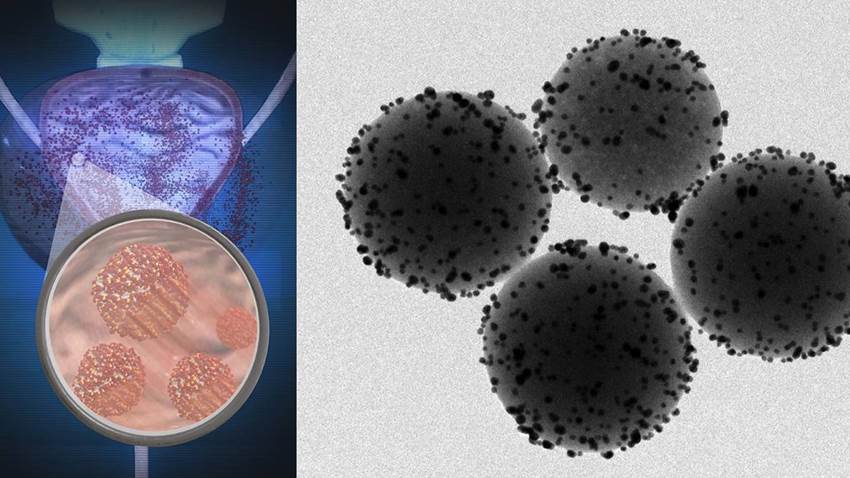 Así se mueven millones de nanorrobotos dentro de ratones vivos