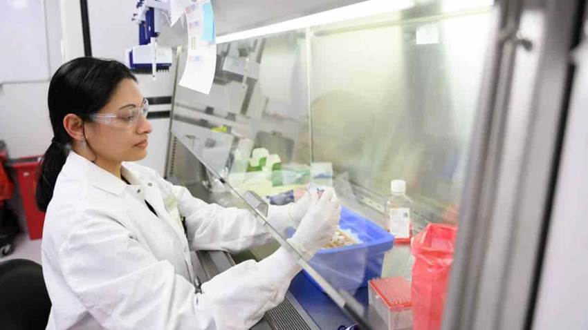 Crean la primera inyección en sangre humana para tratar la amiloidosis por transtiretina